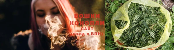 стафф Ладушкин