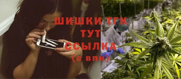 стафф Ладушкин